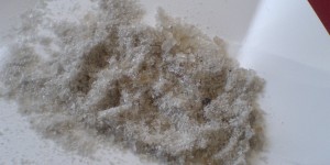 Molly overtakes weed in music culture